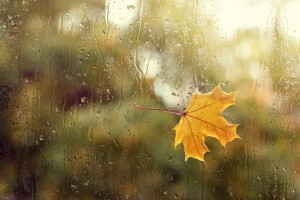 shutterstock_1163752030